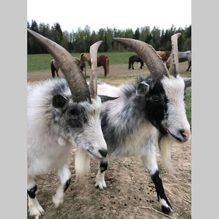 Egen Villa Pa Islandshastgard Riddarhyttan Dış mekan fotoğraf
