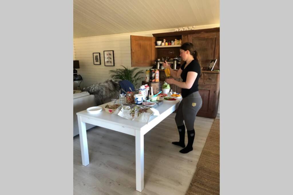 Egen Villa Pa Islandshastgard Riddarhyttan Dış mekan fotoğraf